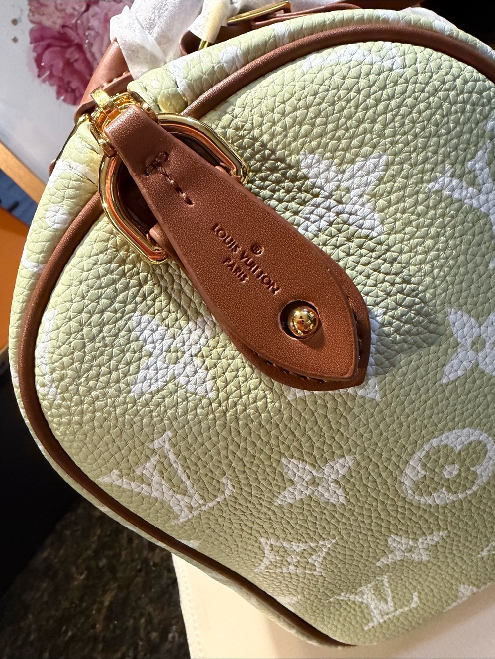 Pale Green & White Monogram 25 Satchel - Picture 6 of 12